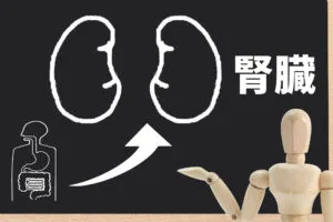 藥物的部分也能改善蛋白尿，像排糖藥以及高血壓藥物的血管加壓素II受體阻斷劑，都能夠降低蛋白尿的量，即便是沒有高血壓的人，醫師也有可能開立這類型的高血壓藥物來治療蛋白尿。